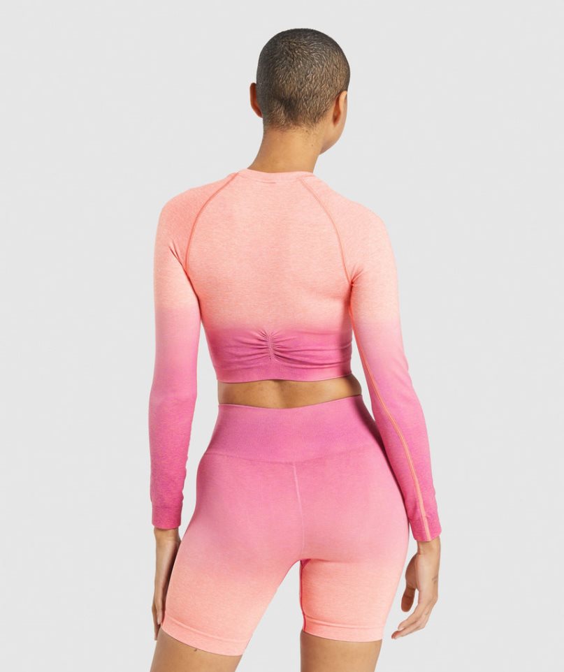 Przycięte Topy Gymshark Adapt Ombre Seamless Long Sleeve Damskie Różowe | PL 071GDX